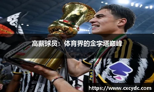 高薪球员：体育界的金字塔巅峰